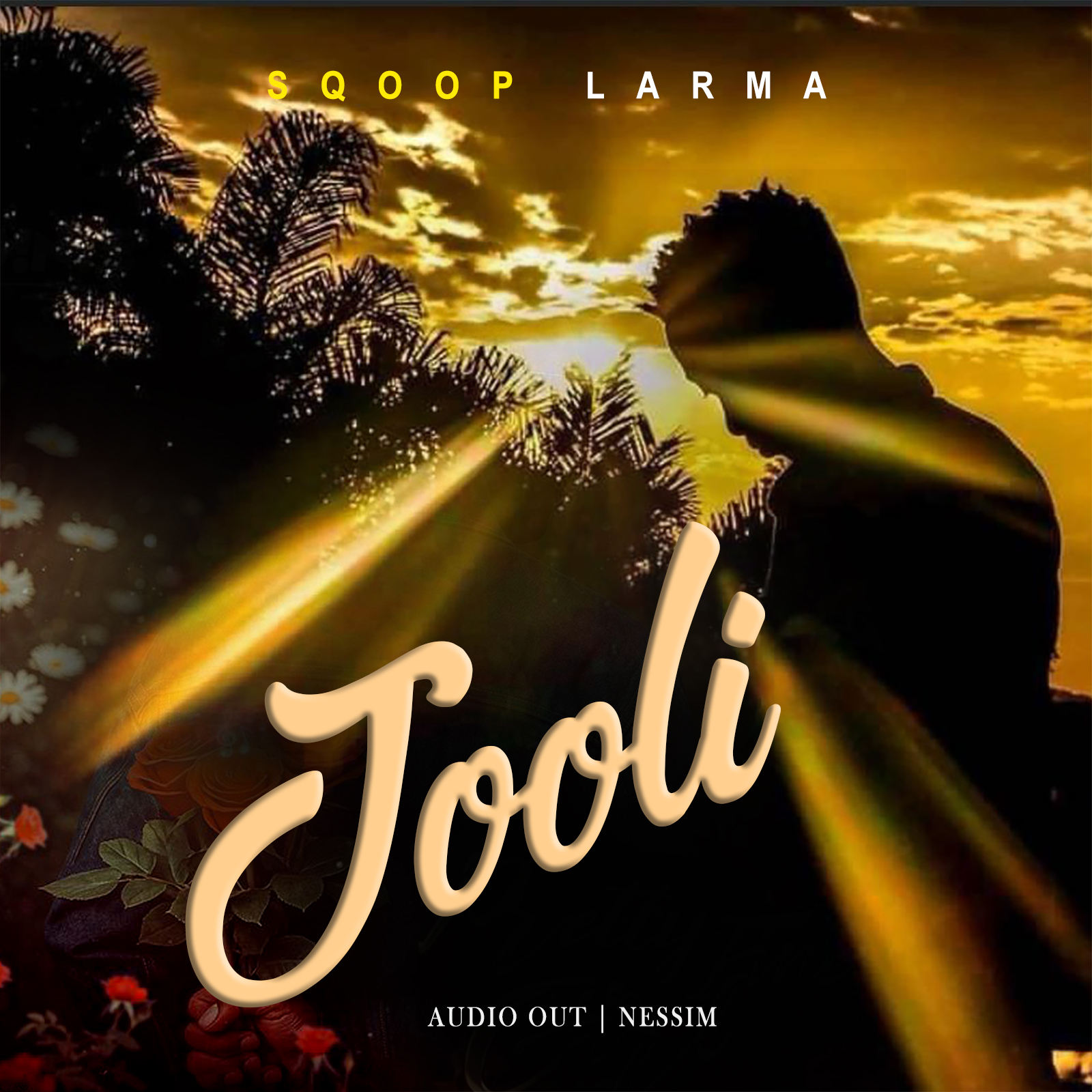 Jooli