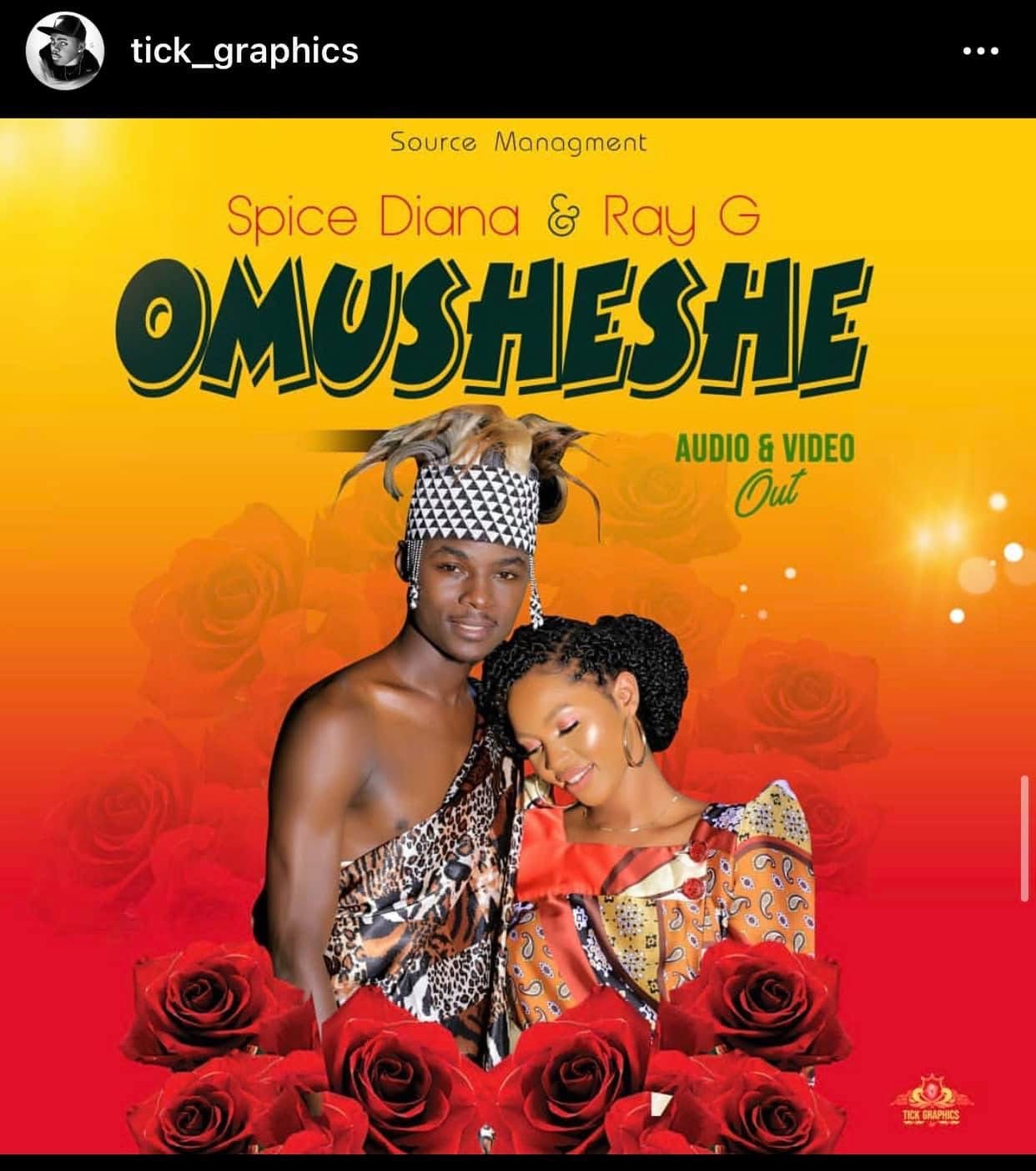 Omusheshe