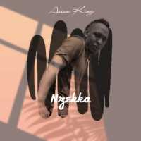 Nzekka -Avion King (Offical Audio)